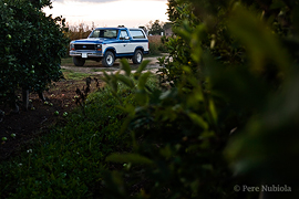 Bellcaire d'Empordà: Ford Bronco