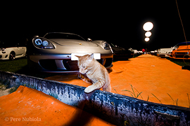 Barcelona: Porsche Carrera GT gat AutoBello 2012 Real Club de Polo