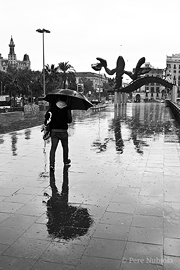 Barcelona: Passeig Colom